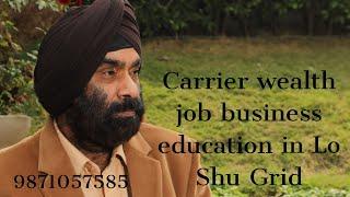 How to see carrier wealth, education, job, business in lo shu grid |gourmieet singgh |