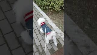 강루비 제체기