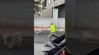 Funny baby tries to catch up to dog️ #shorts