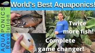 HOLISTIC AQUAPONICS, the World's best aquaponics system revealed!