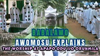 Ifa Worship at the Apapo Odu Ifa Temple & Ijo Orunmila Worship Centre Explained by Babalawo Awomosu