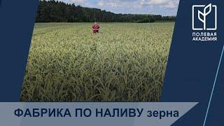 Наливает Вам легко технология XPRO!