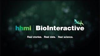 Welcome to HHMI BioInteractive!