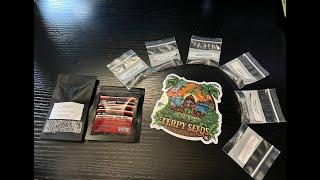 TerpySeeds Unboxing Square One Genetics and Solfire Gardens