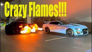 Crazy Mustangs Flames (Insane!!!)