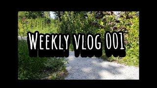 Weekly vlog 001