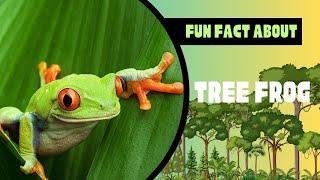 Explore the World of Tree Frogs: Wonderful and Unique | Video of Wild Animals