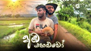 Aba Yahaluwo | අඹ යහළුවෝ - Dukka Productions ( @Dukka  )