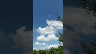 Clouds for you #skieswhitenoise #dramaticclouds #nature #shortvideo #foryou #fyp #whitenoise #skies