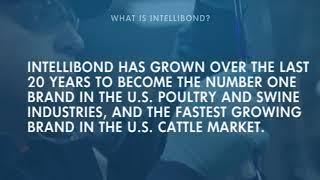 What is IntelliBond