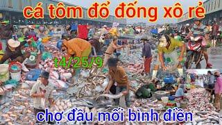 o tin luôn thứ4/24/9 cá tôm xổ giá rẻ chợ đầu mối bình điền