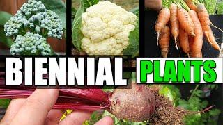 What Is A Biennial Plant? - Garden Quickie Episode 33