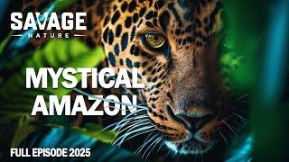 WILD AMAZON | An Adventure Through the Imposing Jungle | Animal Documentary