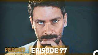 Prisoner Episode 77