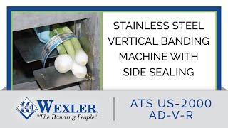 Stainless Steel Vertical Banding Machine with Side Sealing