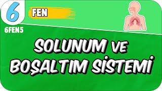 Solunum ve Boşaltım Sistemi  6FEN5 #2025