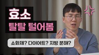 효소 구매 전 주목!! | 소화불량 | 탄수화물 분해 | 브로멜라인 | 곡물발효효소 | 다이어트 | 단백질 | 효소결핍