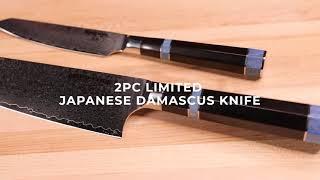 2pc Japanese Damascus Limited Knife Set by Ergo Chef