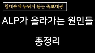 ALP 상승 원인 질환에 대해 알아보았습니다. 간 질환 뿐 아니라 다른 질환의 가능성도 있습니다.