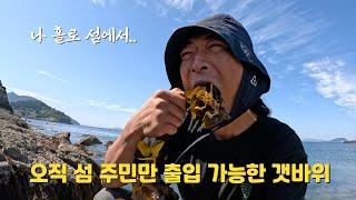 나 홀로 섬에서 낚시, 물질, 채집하며 보내는 자급자족 백패킹(상노대도)