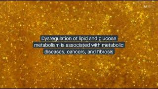 Roles of Twist1 in lipid and glucose metabolism and related diseases