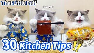 Meow Chef: 30 Kitchen Tips You Need To Know! | That Little Puff