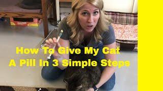 How To Give My Cat A Pill In 3 Simple Steps