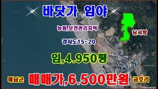 물번,521번) 임야.4.950평 준보전산지,1.700평 공시지가의 절반 값도 안되게 6.500만원에 매매합니다ㅡ 공시지가,1억4.430만원입니다,담보용,임업용산지,낮은 경사도~