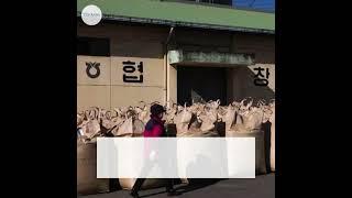 Japan Imports Rice From South Korea After 25 Years in Price Control Efforts