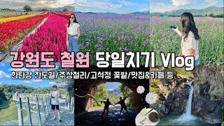 가을꽃축제 고석정꽃밭한탄강 주상절리 잔도길 강원도 철원 당일치기 여행 VLOG (가을여행지추천)