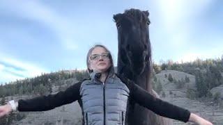 This horse was afraid of human touch. So I adopted him.