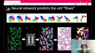 Carsen Stringer "Cellpose & Suite2p: anatomical and functional algorithms for cellular segmentation"