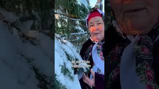 «Когда-то давно в лесу жила старая мудрая Ель, Мудор Кыз - Мать Леса.