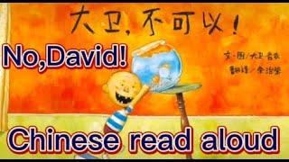 No, David!｜大卫，不可以｜中文绘本｜Chinese picture book | Chinese read aloud