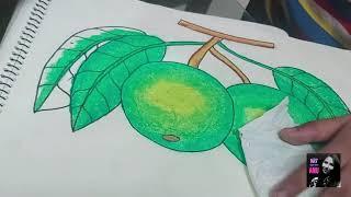 Young Kid Sketching And Coloring "Guava" | Fun Art | Art with Anu