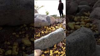 Rich signs of gold