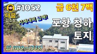 #1052 포항 북구 청하면 토지 #다음공인중개사 #010-2622-8488 #급매