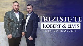 Robert si Elvis din Barbulesti - Trezeste-te