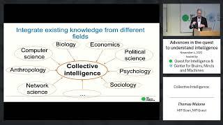 Collective Intelligence