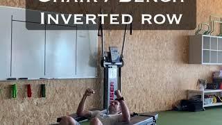 Bodyweight Inverted Row (with chair or bench)