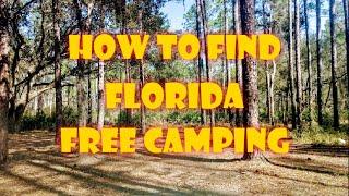 How To Find Florida Free Camping