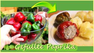 Gefüllte Paprika mit Hackfleisch