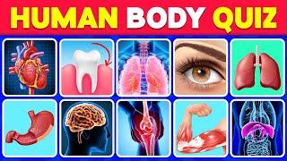 The Human Body Quiz: How Many Human Body Parts Can You Guess? 