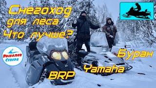 YAMAHA, BRP Ski-doo или БУРАН?  СНЕГОХОД ДЛЯ ЛЕСА. КАКОЙ ЛУЧШЕ ?   #Рыболов_Севера