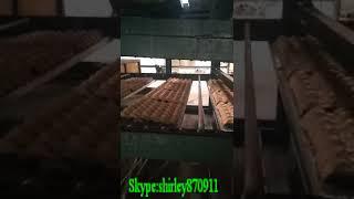 4000 pcs/h egg trays dryer