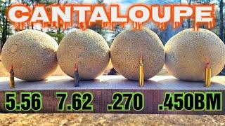 Rifles VS Cantaloupe 5.56 7.62x39 .270 Winchester .450 Bushmaster