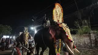 Elephants Procession @ Cherpa bhagavati Ayyappan Vilakku