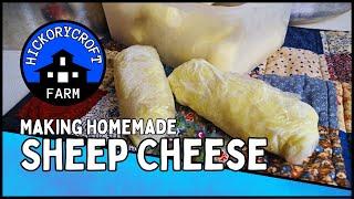 Milking SHEEP and Making SHEEP CHEESE : Homemade Famers Cheese Building a Self Sufficient Homestead