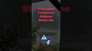 Severe Weather/ Trees down Alabama Tennessee state Line #fyptiktok #news #tornado #weather #fypage