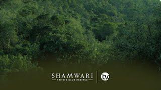 The Biome's of Shamwari Private Game Reserve Part 1: Forest and Albany Thicket